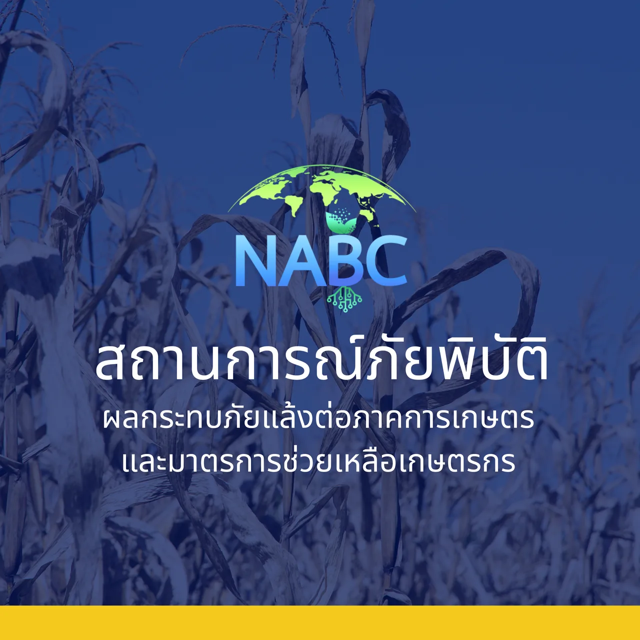 ผลกระทบภัยแล้งต่อภาคเกษตรและมาตรการช่วยเหลือเกษตรกร