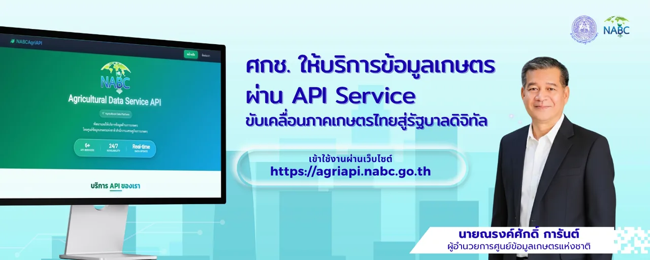 API Service